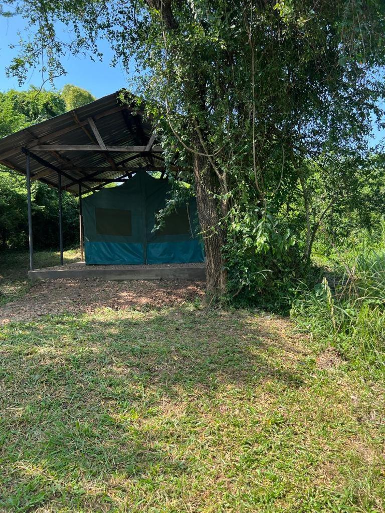 Murchison Giraffe Camp Paraa Exterior foto